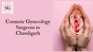 Cosmetic Gynecology Surgeons In Chandigarh