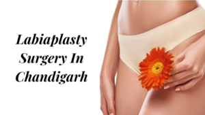 Stress Urinary Incontinence Treatment in Chandigarh (5)