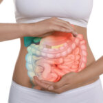 Understanding the Gastrointestinal Tract: Symptoms, Conditions, and Care