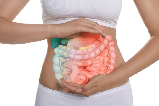 Understanding the Gastrointestinal Tract: Symptoms, Conditions, and Care